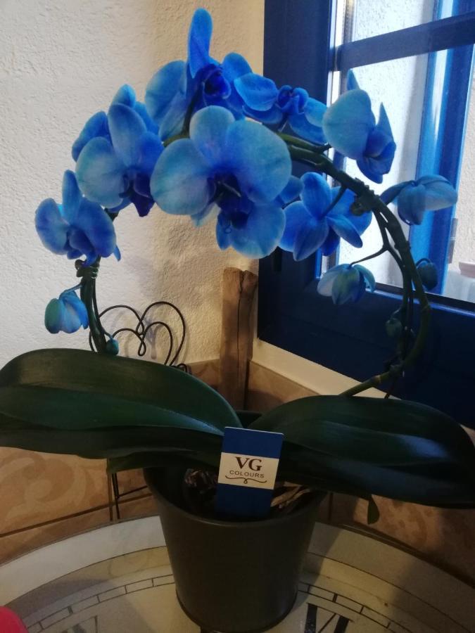 Parfumu Di Celu Hotel Santa-Lucia-di-Mercurio Luaran gambar